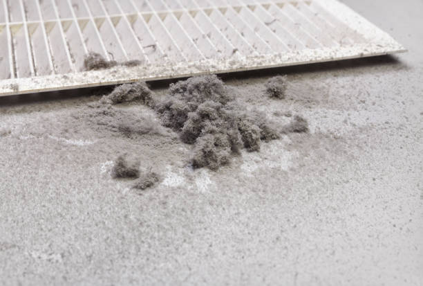 Best Air Duct Cleaning Company Near Me  in Battle Mountain, NV