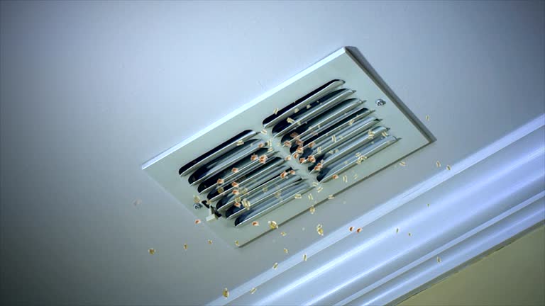 Best Home Air Vent Cleaning  in Battle Mountain, NV