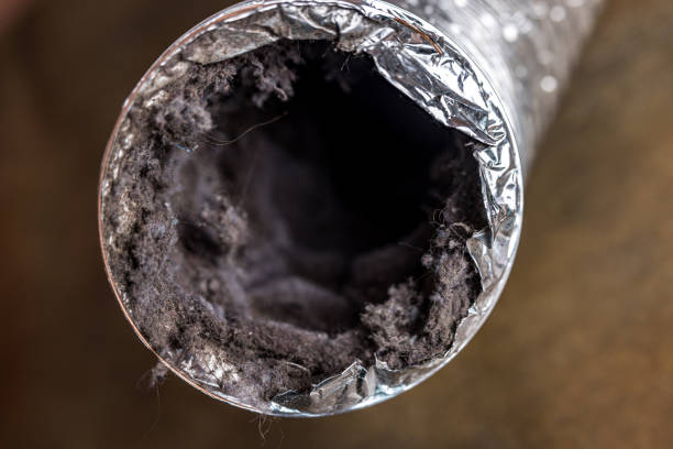 Best Residential Air Duct Cleaning  in Battle Mountain, NV